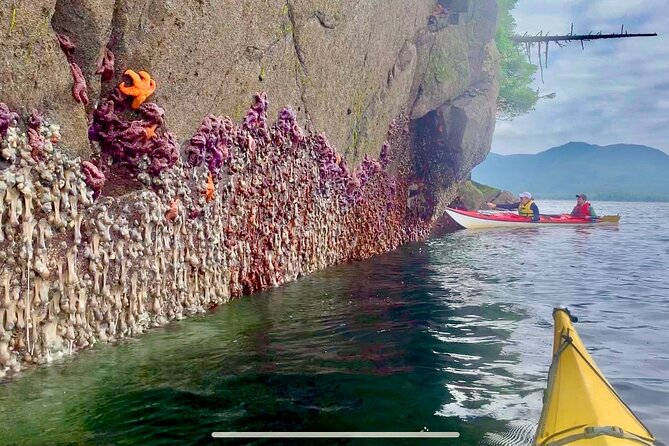 Orca Cove Sea Kayaking - Booking details that matter in Ketchikan