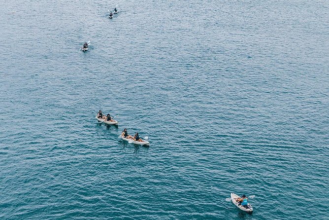 Original La Jolla Sea Cave Kayak Tour for Two - Reaching the Seven Sea Caves