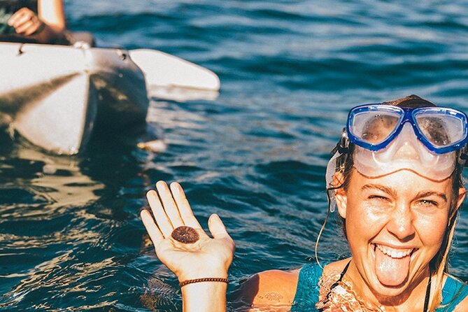Original La Jolla Sea Cave Kayak Tour for Two - Guide quality can shape the whole outing