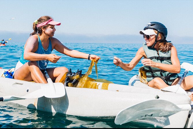 Original La Jolla Sea Cave Kayak Tour for Two - Launching from Avenida De La Playa
