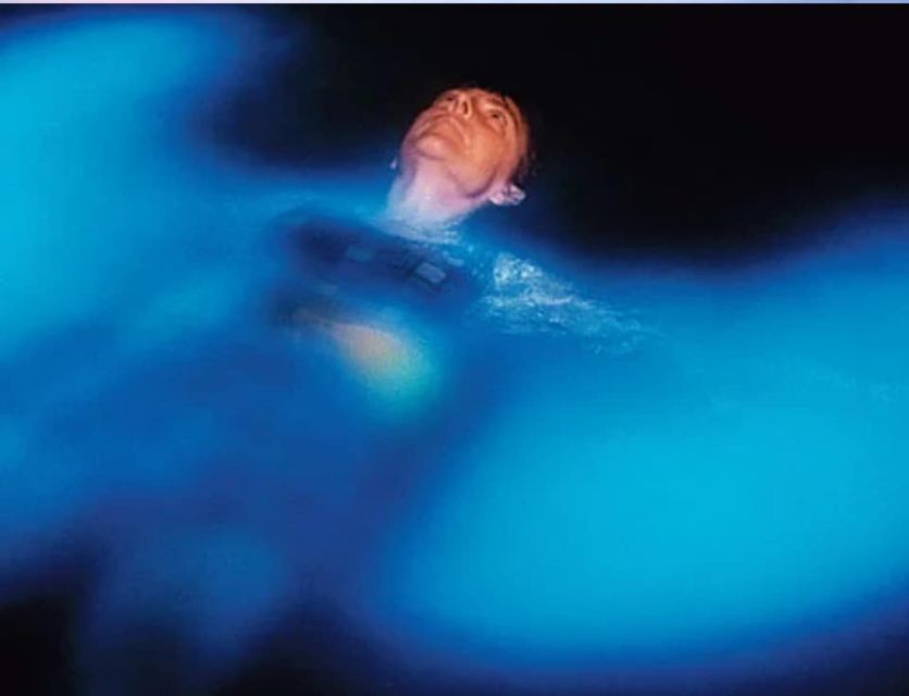 Orlando: Bioluminescence Clear Kayaking or Paddleboarding - Wildlife, jumping mullet, and the chance of a manatee