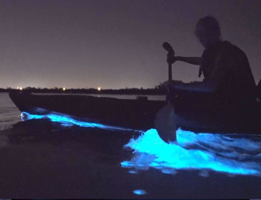 Orlando: Bioluminescence Clear Kayaking or Paddleboarding - The family question, and who should skip it