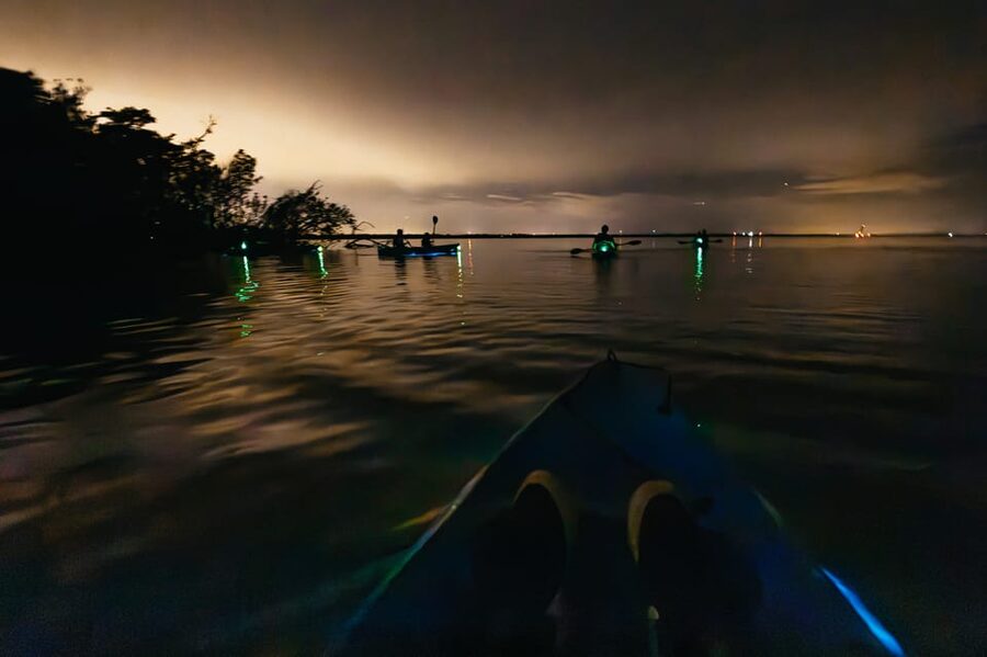 Orlando: Bioluminescence Kayak Tour - Booking details that matter