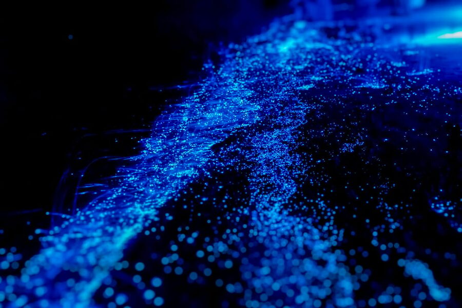 Orlando: Bioluminescence Kayak Tour - Check-in, gear, and the first paddle strokes