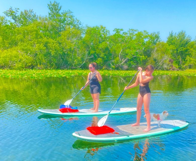 Orlando: Clear Kayak and Paddleboard 2-Hour Rental - What the $45 price includes