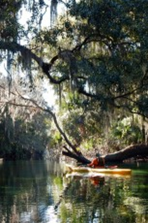 Orlando: Kayaking Tour with Manatee Encounter - Getting comfortable before the wildlife search