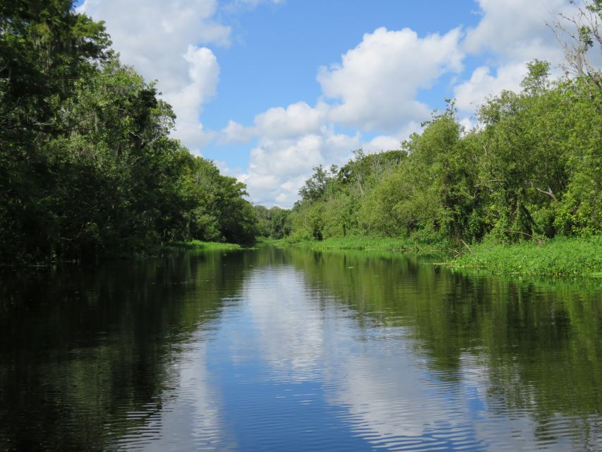 Orlando: Small Group Manatee Discovery Kayak Tour - From the safety talk to the clear spring