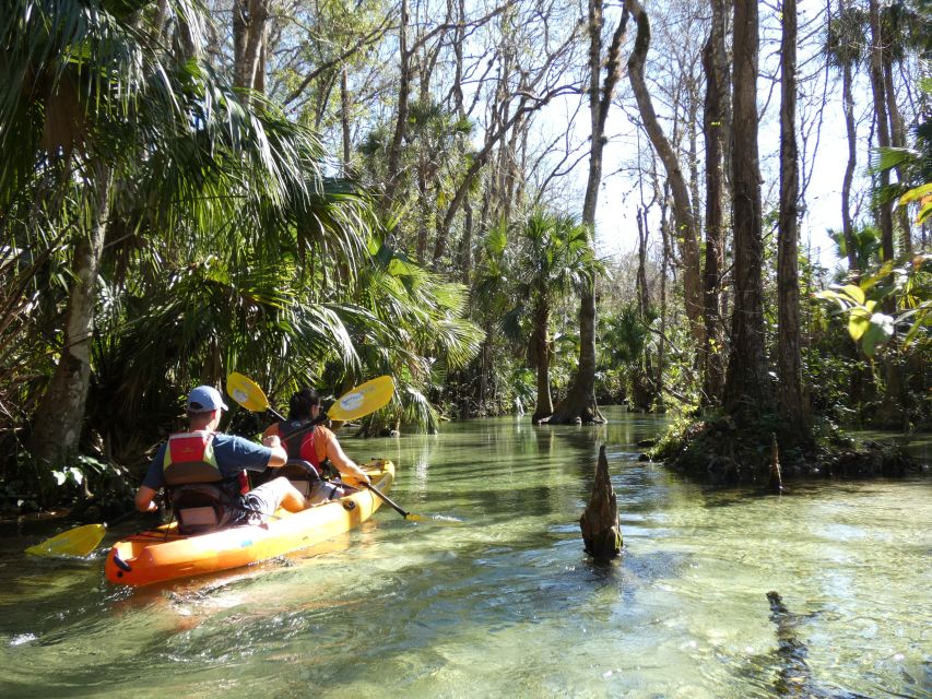 Orlando: Small Group Rock Springs Run Kayak Tour - Key points to know before booking