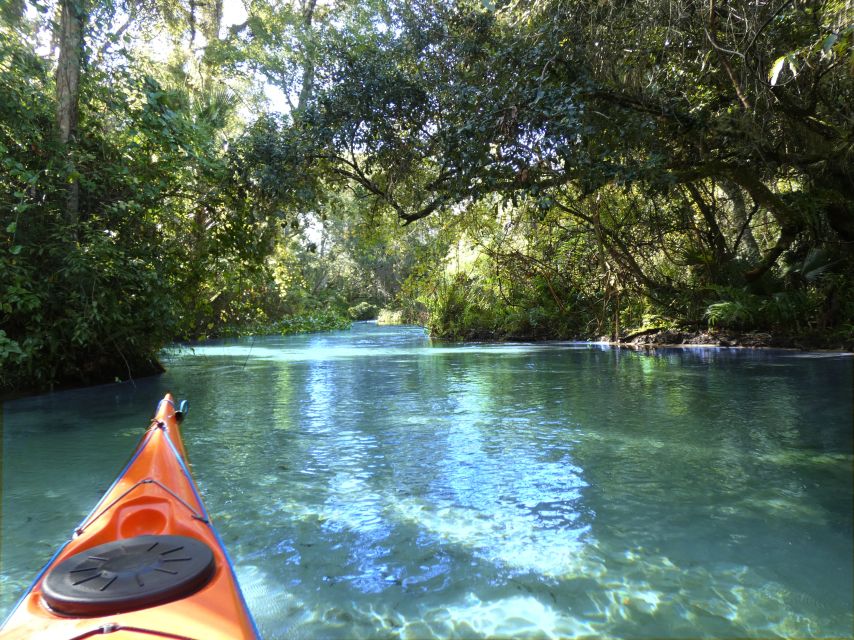 Orlando: Small Group Rock Springs Run Kayak Tour - Paddling upstream through clear water