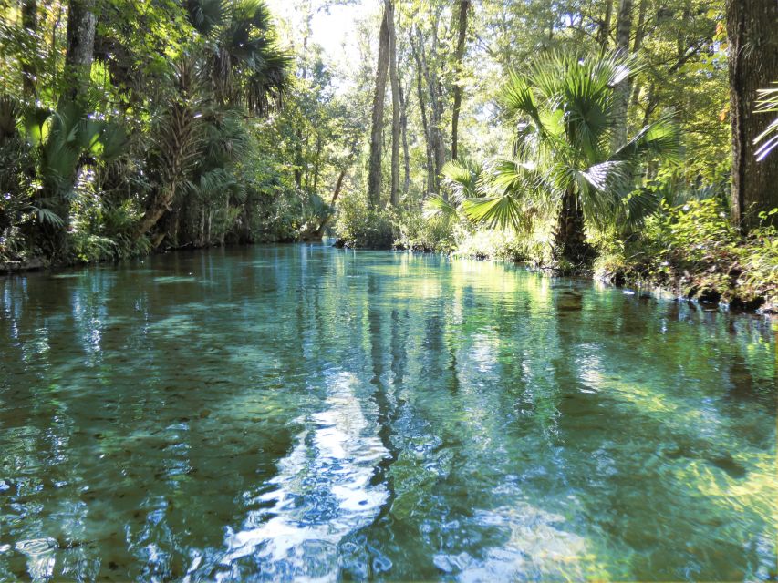 Orlando: Small Group Rock Springs Run Kayak Tour - Floating downstream on the return