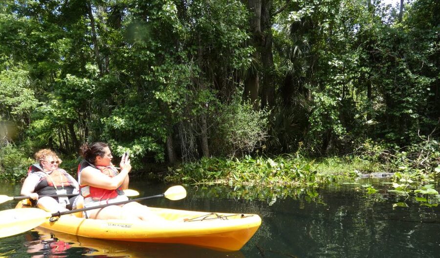 Orlando: Small Group Rock Springs Run Kayak Tour - How much value you get for $95