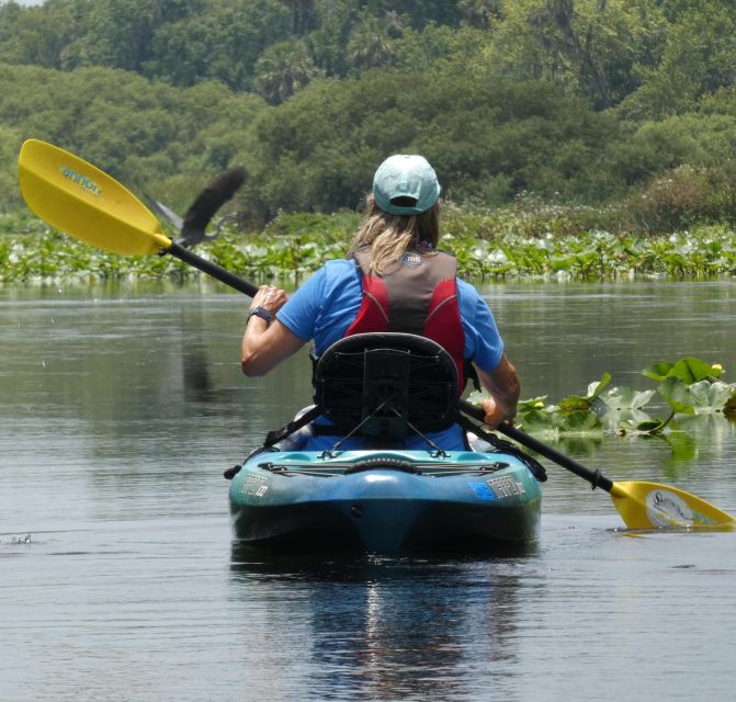 Orlando: Small Group Scenic Wekiva River Kayak Tour - Why the Wekiva River makes a fine Orlando escape