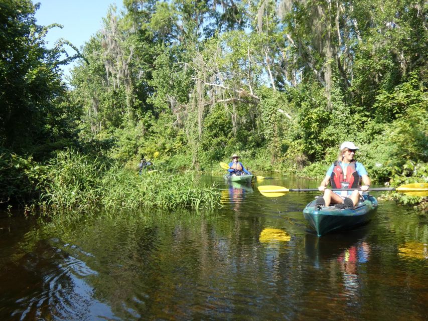 Orlando: Small Group Scenic Wekiva River Kayak Tour - The 20-minute swim and snorkel stop