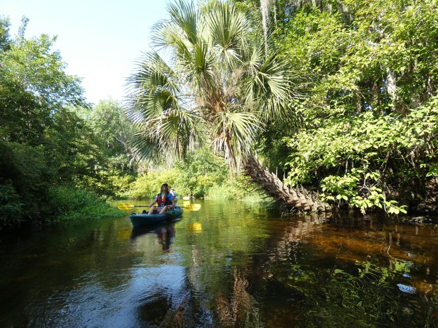 Orlando: Small Group Scenic Wekiva River Kayak Tour - Who will enjoy this trip most