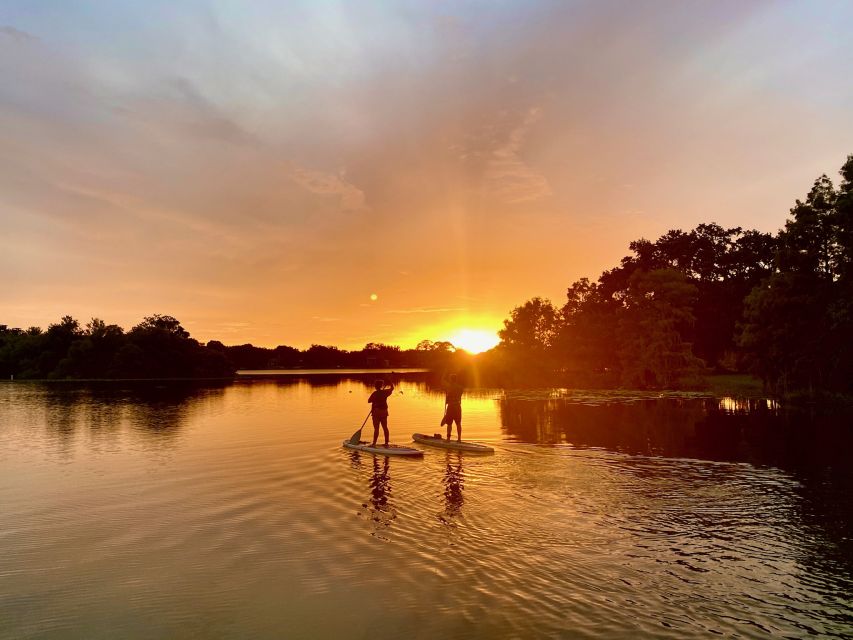 Orlando: Sunset Clear Kayak or Paddleboard in Paradise Tour - The best part may come after the paddle