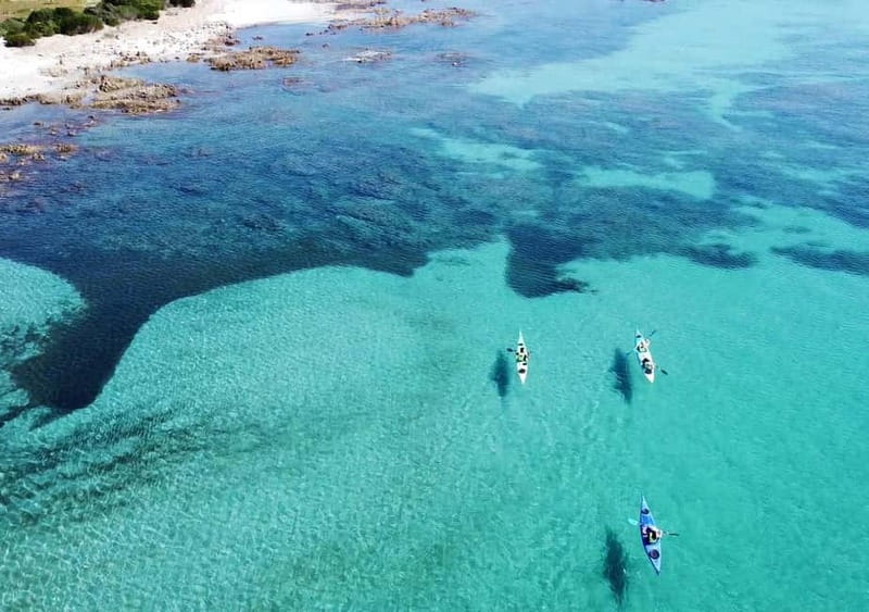 Orosei: Oasis of Biderosa Kayak Tour in the morning - Who will enjoy this kayak trip most?