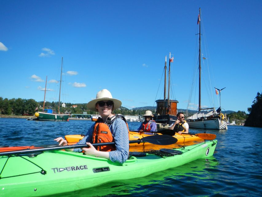 Oslo: 3-hour Kayaking Trip on the Oslofjord - How much value do you get for $146?