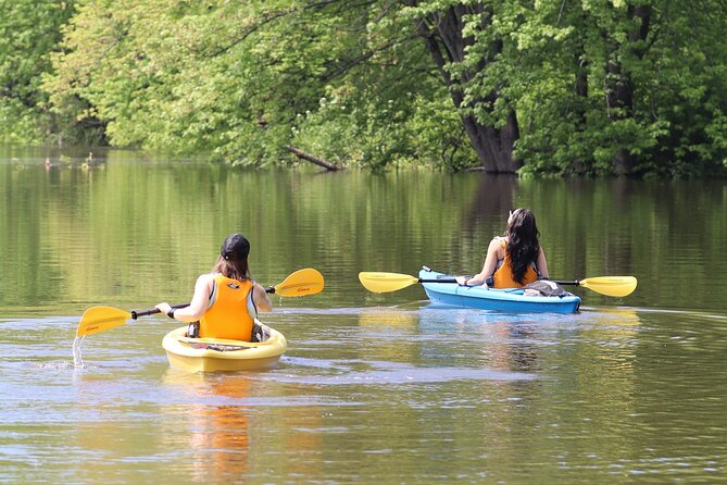 Ottawa: Ecological Reserve Kayak Tour with Turtle Sightings - Key points at a glance
