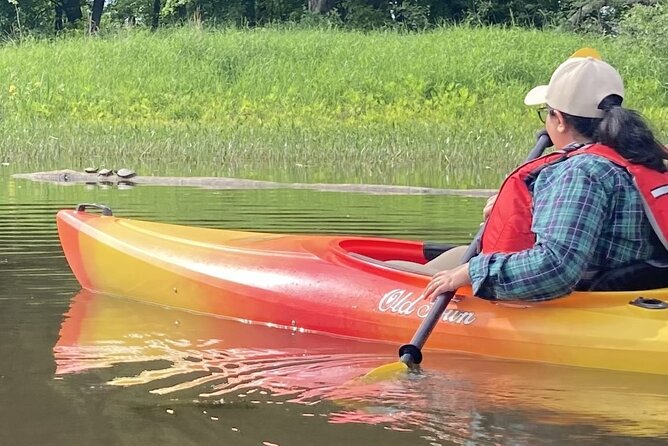 Ottawa: Ecological Reserve Kayak Tour with Turtle Sightings - The natural setting around Petrie Island