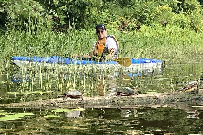 Ottawa: Ecological Reserve Kayak Tour with Turtle Sightings - What to do after the kayak trip