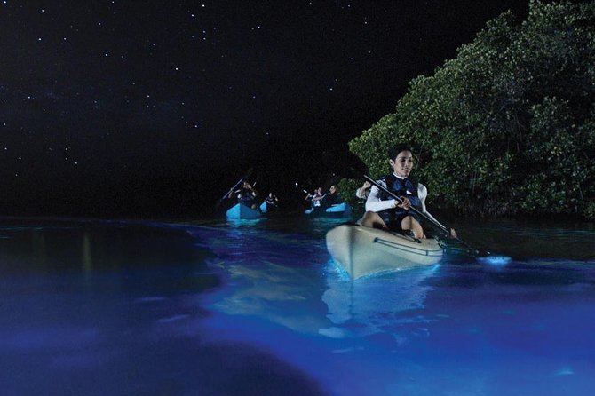 Overnight Bio Bay Kayak Tour in Vieques Island - Key points to know before booking