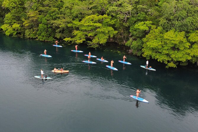 Paddle at Dawn with visit to Cenotes and Islands - Key points at a glance