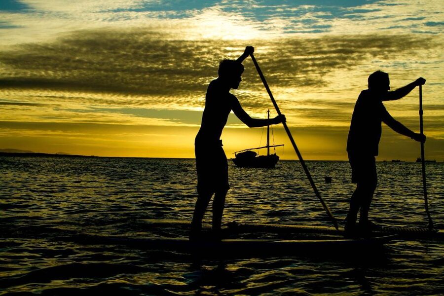 Paddle Board Rental: Glide on the Water with Ease - Coves, Beaches, and White Cliffs