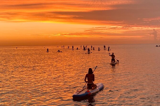 Paddle Surfing in Barcelona - Learning the Basics Before You Launch