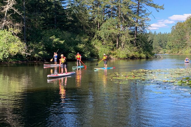Paddling Thetis Lake - The first 15 minutes: learning to stand
