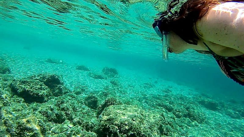 Palma de Mallorca: Private Boat Tour with Snorkel and Paddle - Cala Vinyes, Cala Bella Dona, and the southern coves