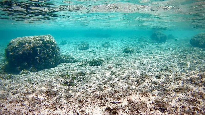 Palma de Mallorca: Private Boat Tour with Snorkel and Paddle - What the $459 price really means