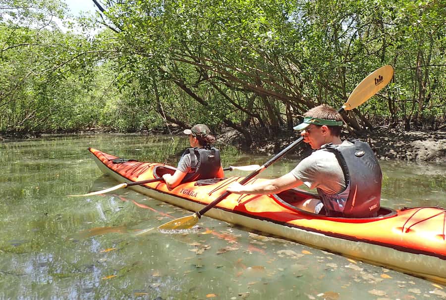 Paraty Bay: Half-Day Mangroves and Beaches Tour by Kayak - The beach stop for swimming and a break