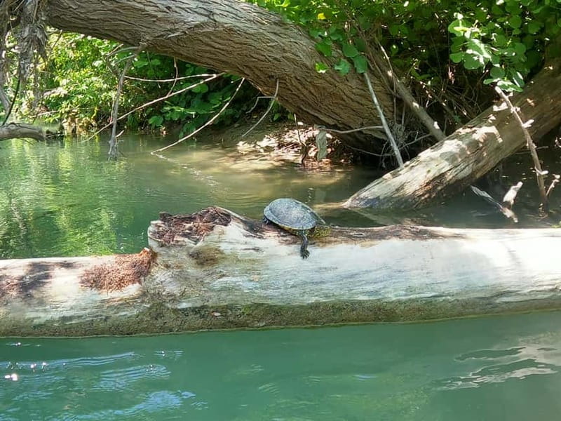 Parga: Kayaking Adventure in the Acheron River 13 km - Key things to know