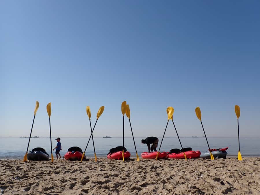 Pelican Point: Kayak with Seals Experience - Key points before you book