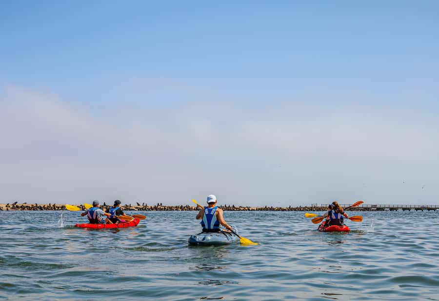 Pelican Point: Kayak with Seals Experience - The 4x4 route through Donkey Bay and the salt pans