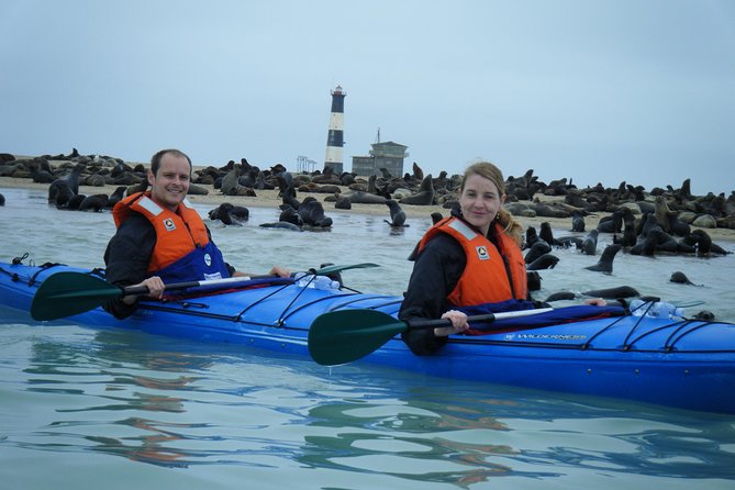 Pelican Point Kayaking Half-Day Tour - The 8:00 am start at Anchors Waterfront