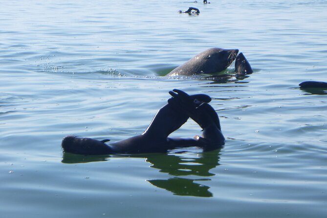 Pelican Point Kayaking Half-Day Tour - The 4x4 ride across the lagoon and salt works