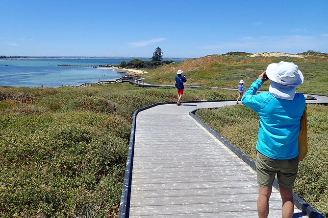 Penguin and Seal Islands Sea Kayaking Experience - Key points to know before booking