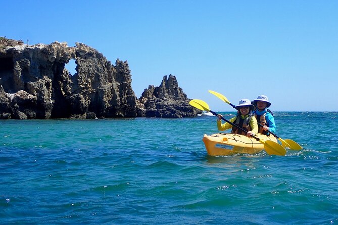 Penguin and Seal Islands Sea Kayaking Experience - Paddling from Shoalwater into the marine park