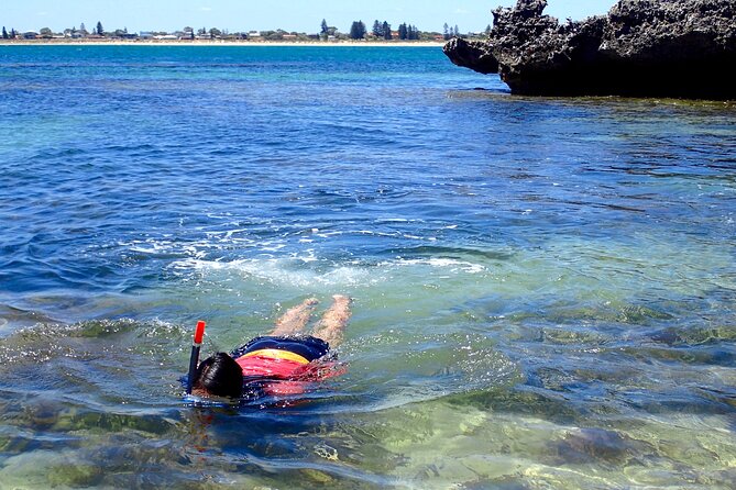 Penguin and Seal Islands Sea Kayaking Experience - What the group size and guides mean