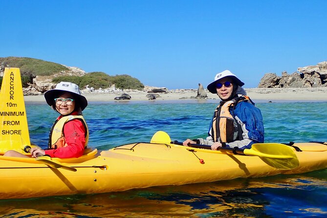 Penguin and Seal Islands Sea Kayaking Experience - Weather, cancellation, and useful packing advice