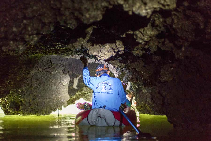 Phang Nga Bay Highlights: Kayaking and Cave Exploration Tour - Why the sea caves are the real reason to go