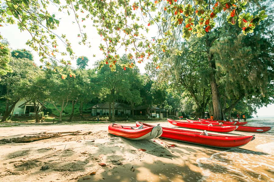 Phang Nga Bay Highlights: Kayaking and Cave Exploration Tour - Who will enjoy this tour most