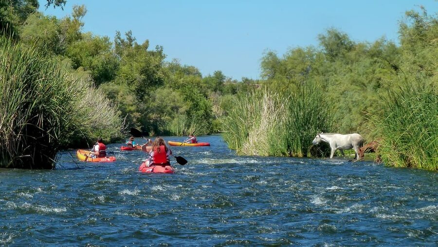 Phoenix: Self-Guided Kayaking Trip to Foxtail - A Desert River Ride Near Phoenix
