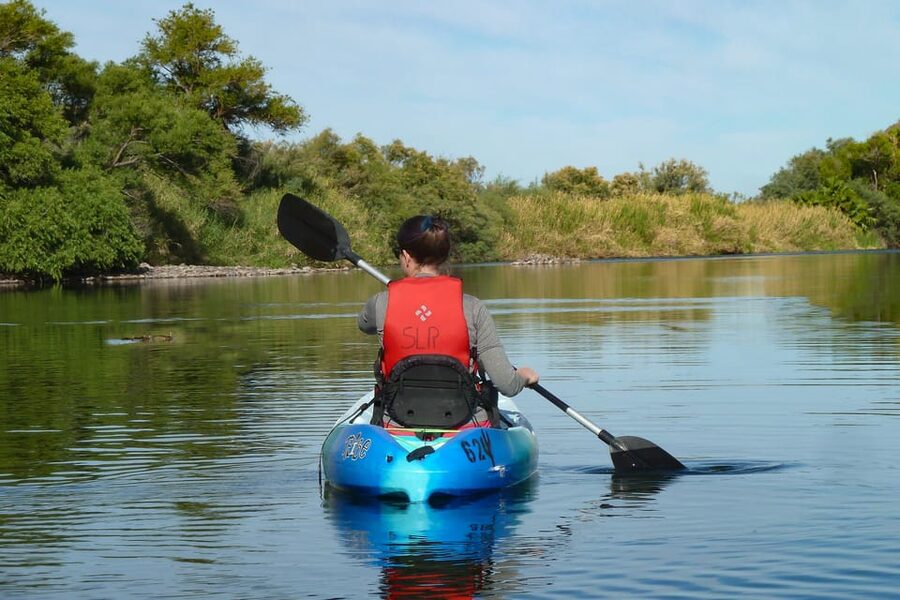 Phoenix: Self-Guided Kayaking Trip to Foxtail - Wildlife Along the Salt River