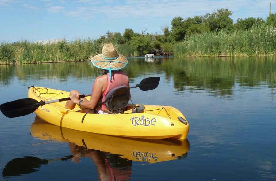 Phoenix: Self-Guided Kayaking Trip to Foxtail - The Return Shuttle at Foxtail