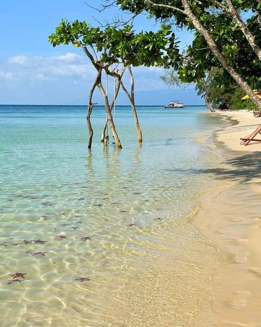 Phu Quoc: Kayaking with Starfish Beach and Bee Farm Tour - Passing through Phu Quoc National Park