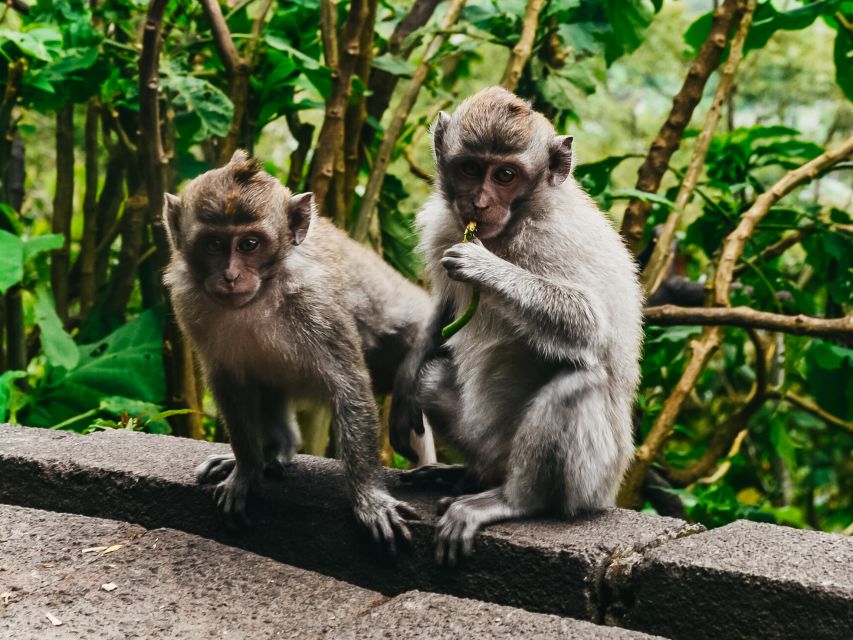 Phuket: James Bond Island Longtail Boat and Sea Canoe Tour - What to bring and what to budget