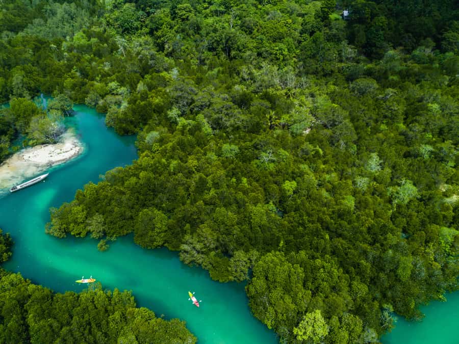 Phuket: James Bonds Island with Lunch and Sea Cave Canoe - Panak Island and the Mangrove Cave