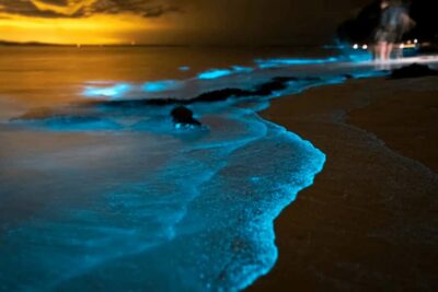 Phang Nga Bay Bioluminescent Plankton and Sea Canoes